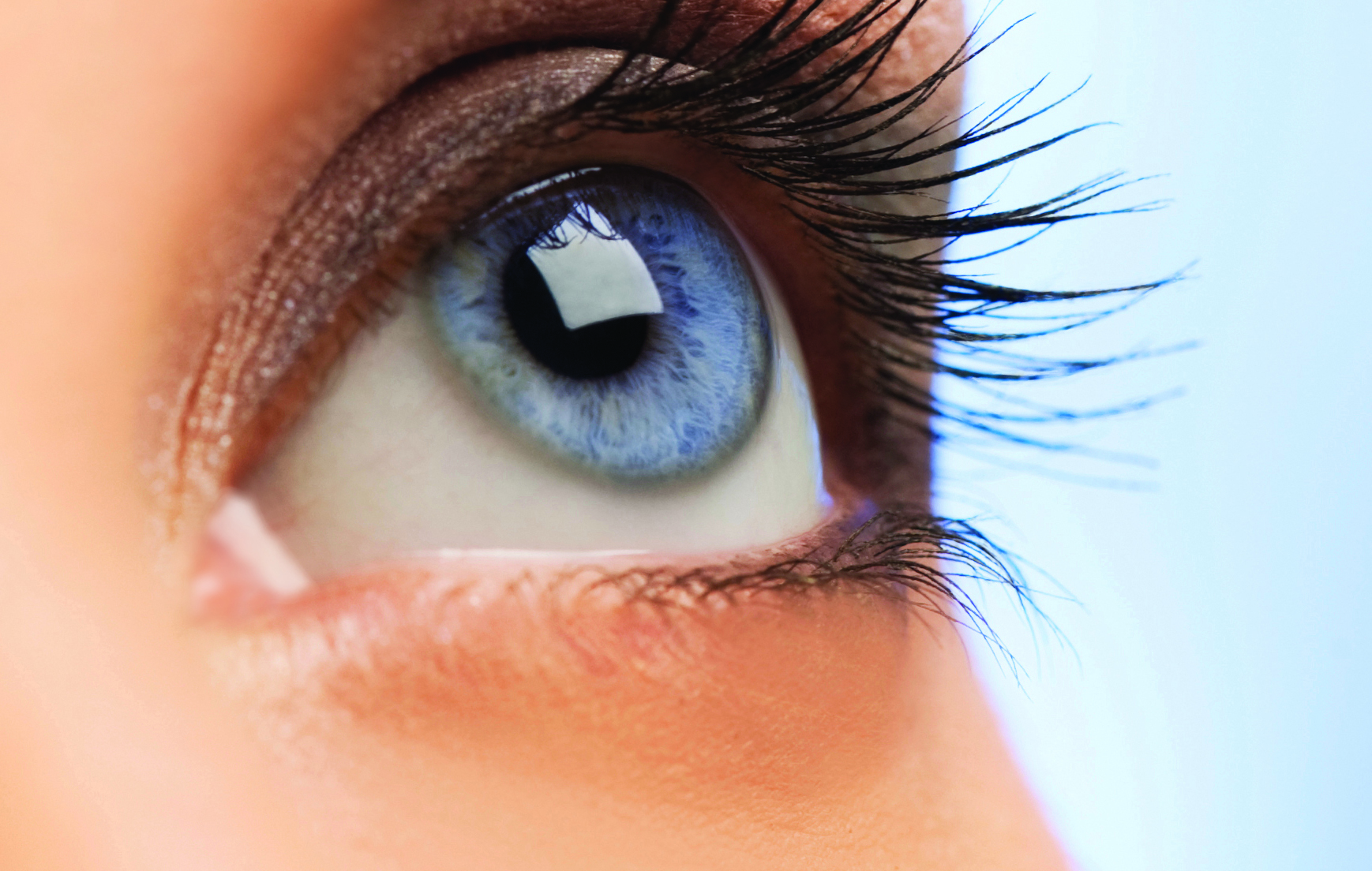 Close up of blue eye looking up