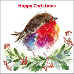 Picture of Fluffy robin and berries