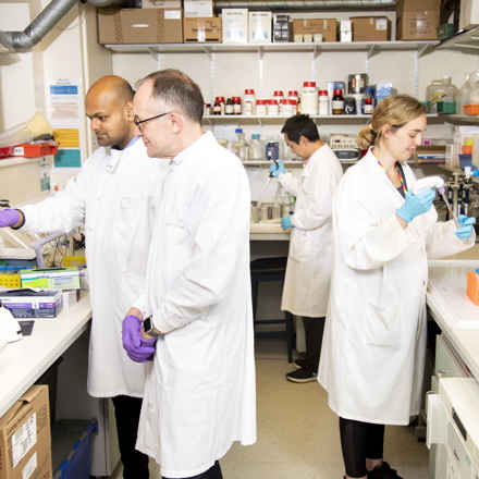 Andrew Dick's team in laboratory