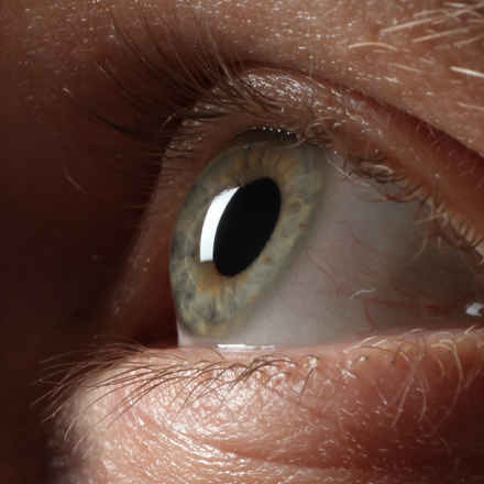 Side view close up brown eye